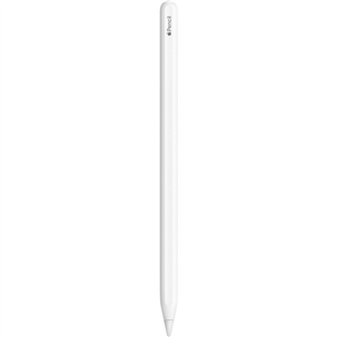 Apple Pencil (2nd gen)